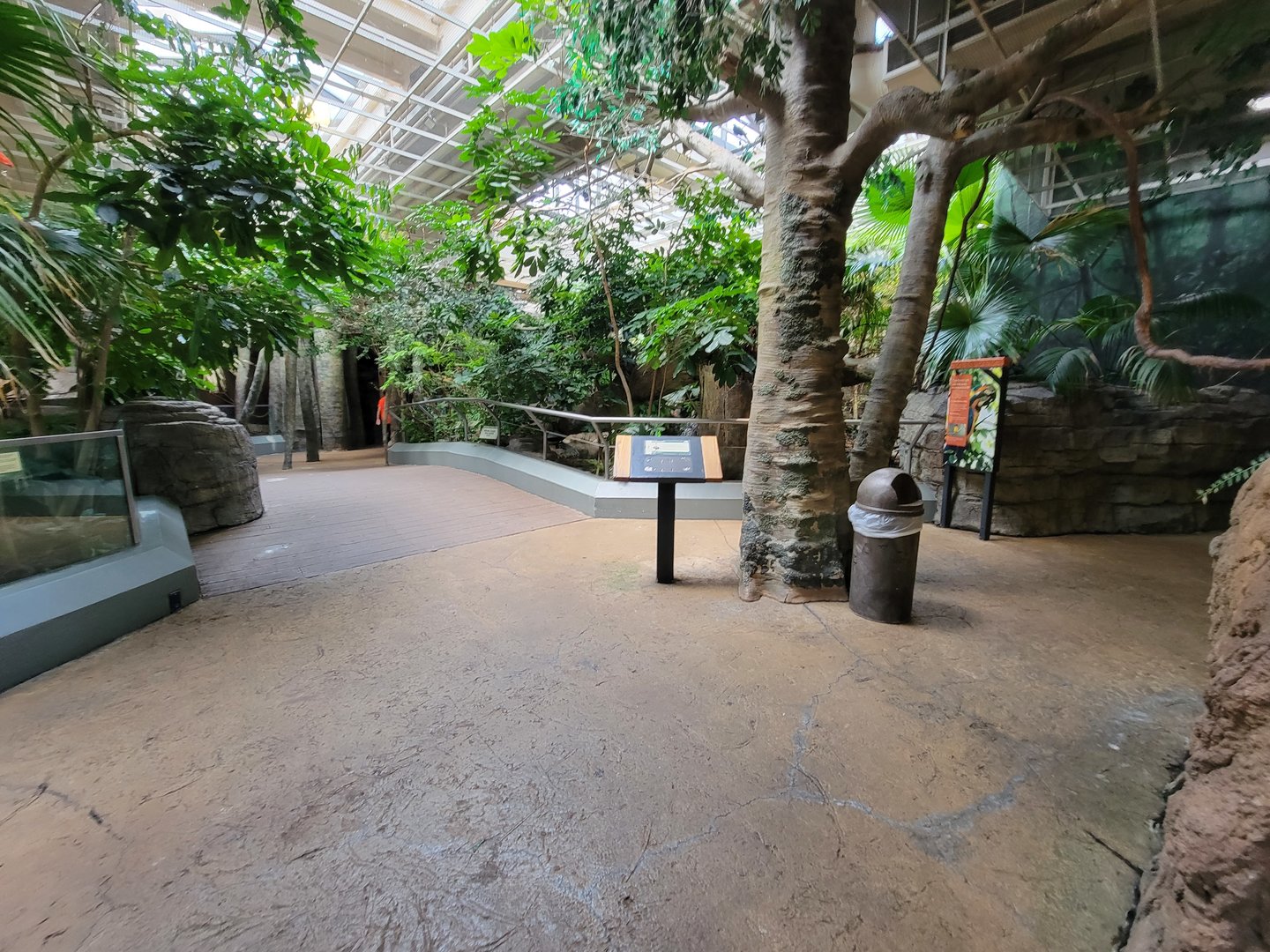 Cleveland Zoo, Rainforest - Path