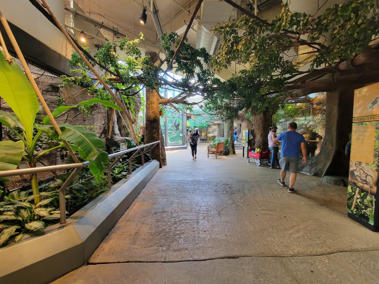 Cleveland Zoo, Rainforest - Path