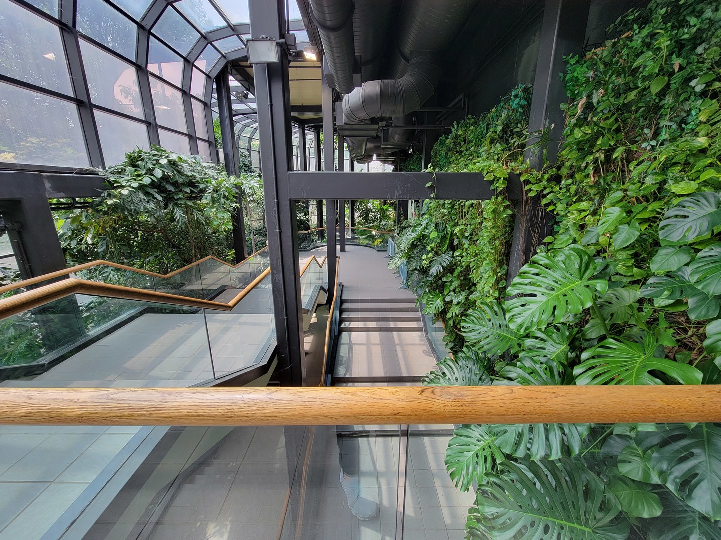 Cleveland Zoo, Rainforest - The much better staircase