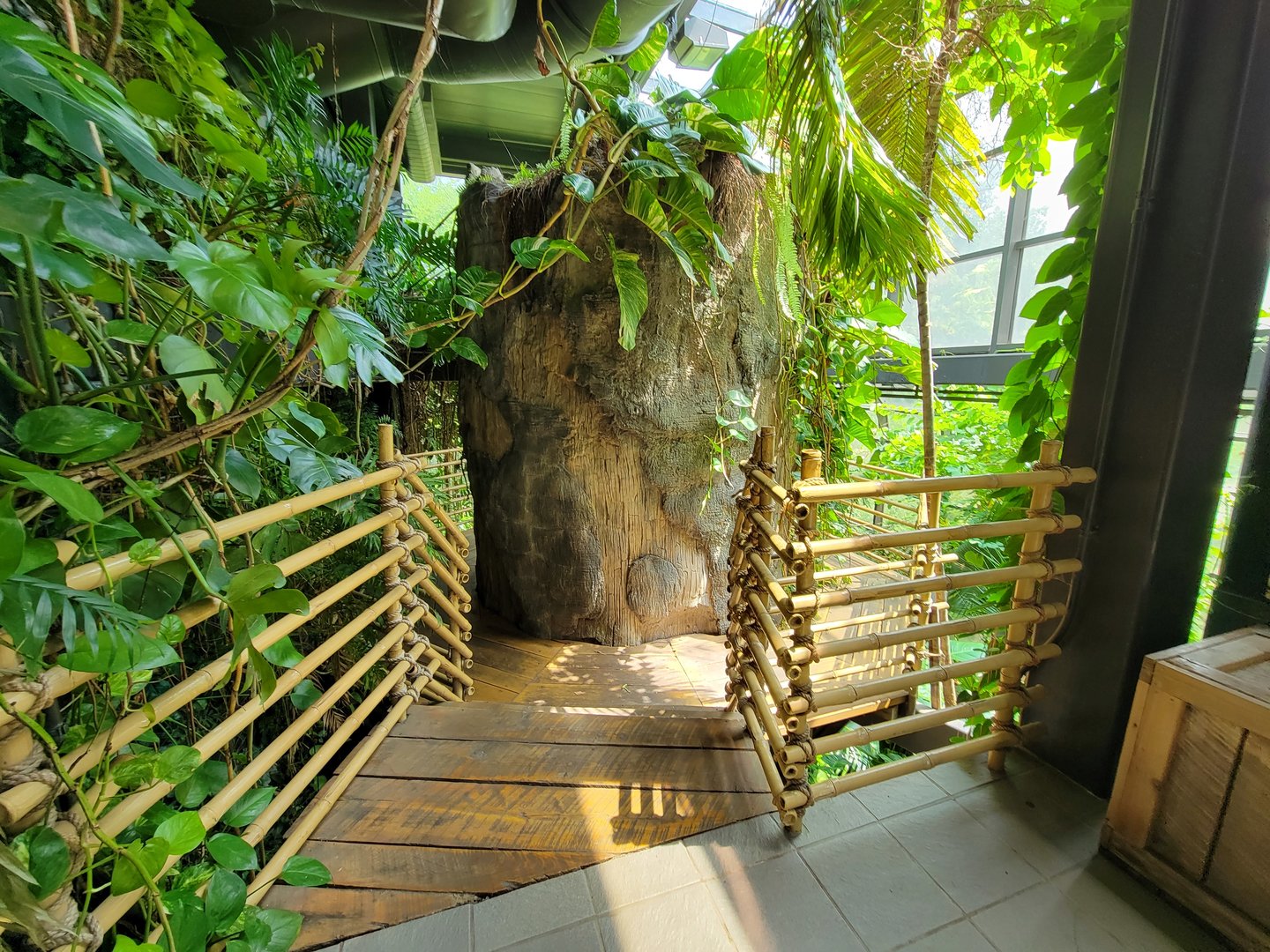 Cleveland Zoo, Rainforest - Tree with staircase