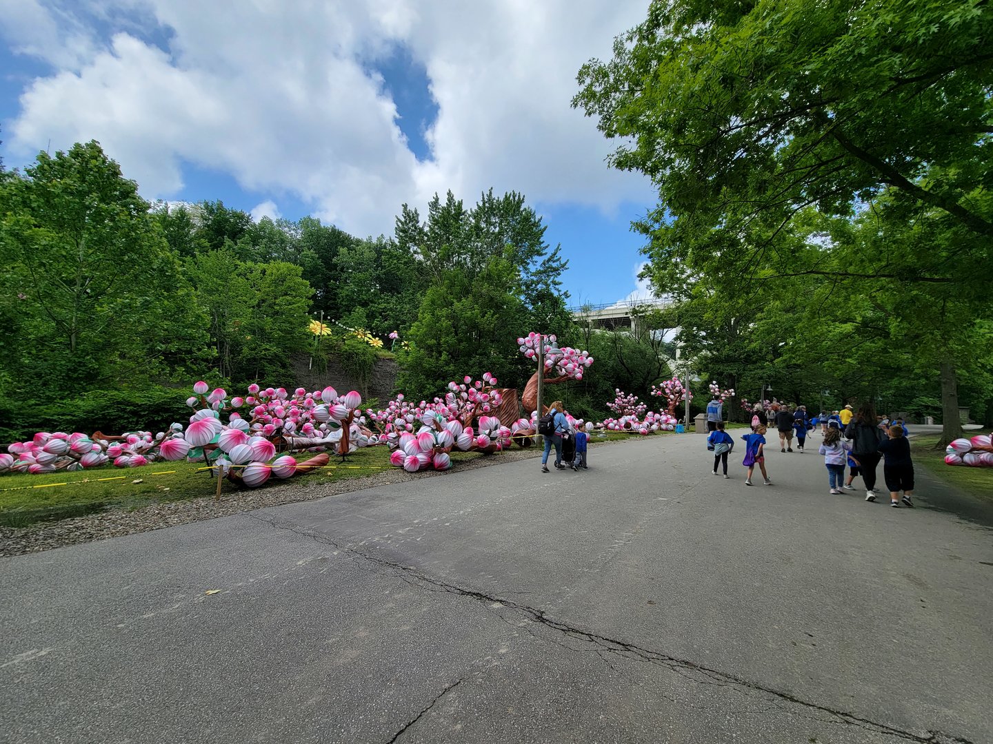 Cleveland Zoo - Setting up for the lantern festival
