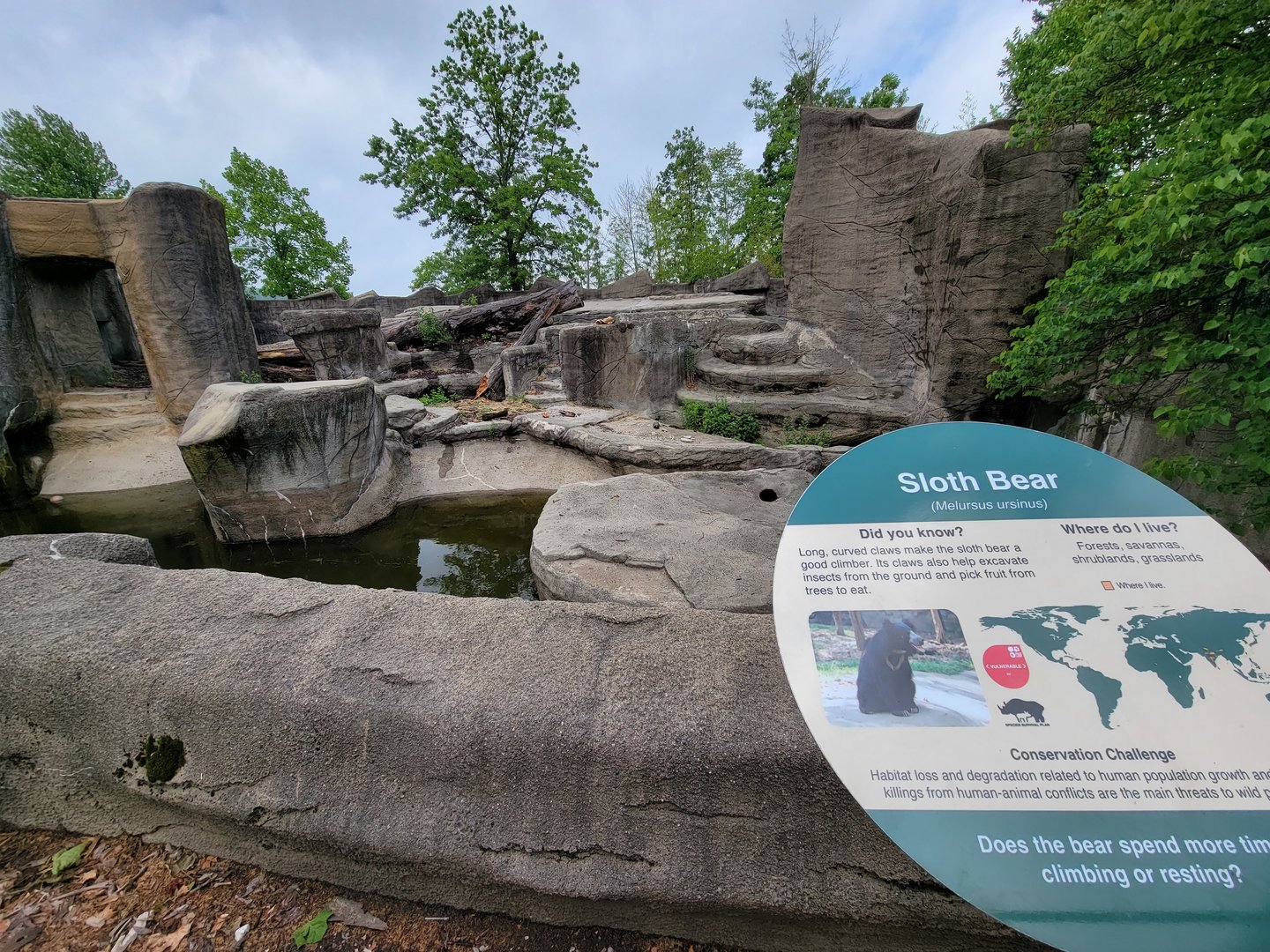 Cleveland Zoo - Sloth bear/American black bear rotational exhibit