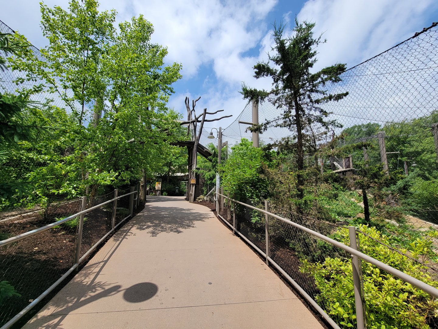 Cleveland Zoo - Tiger Passage path