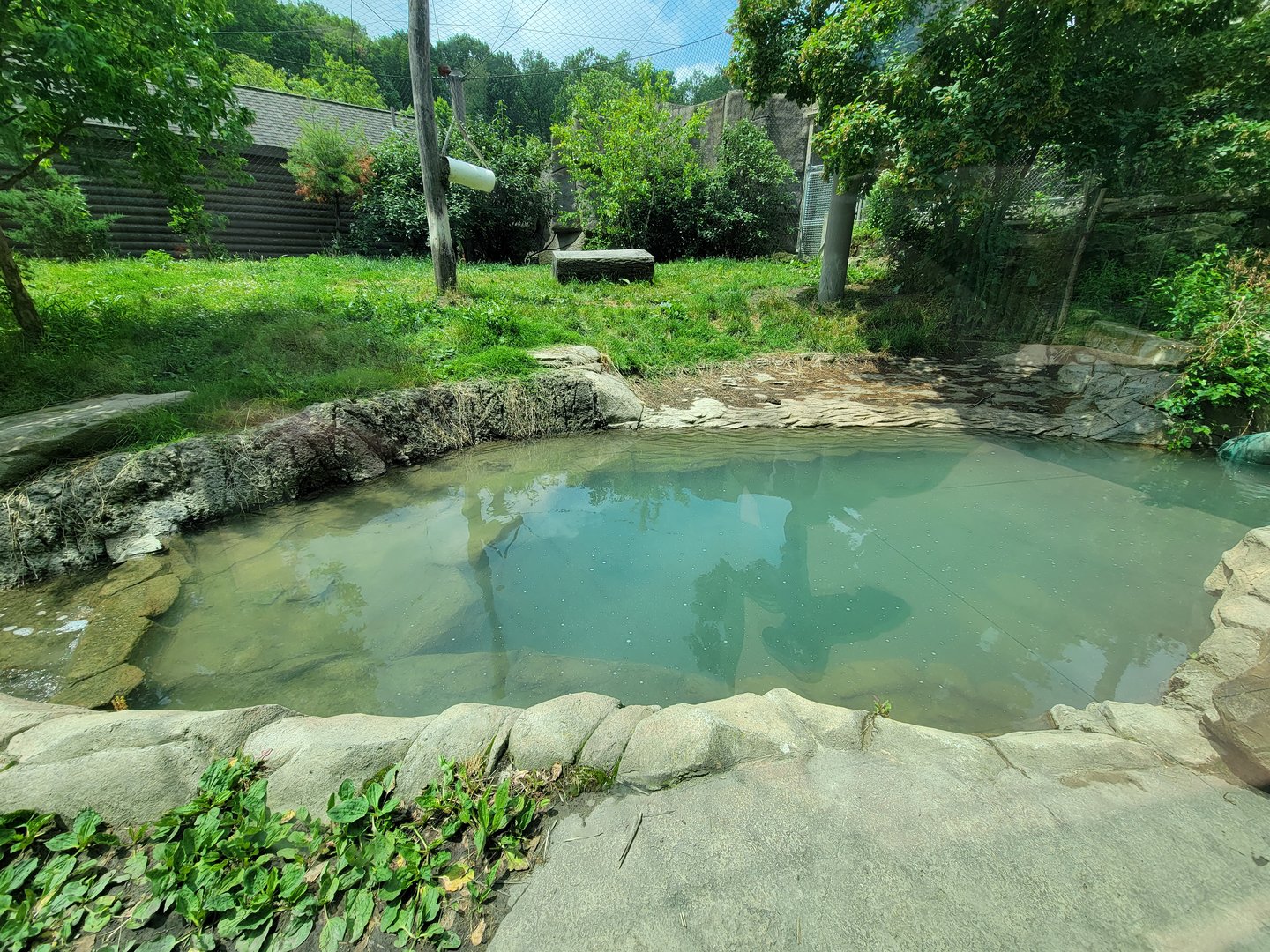 Cleveland Zoo - Tiger Passage