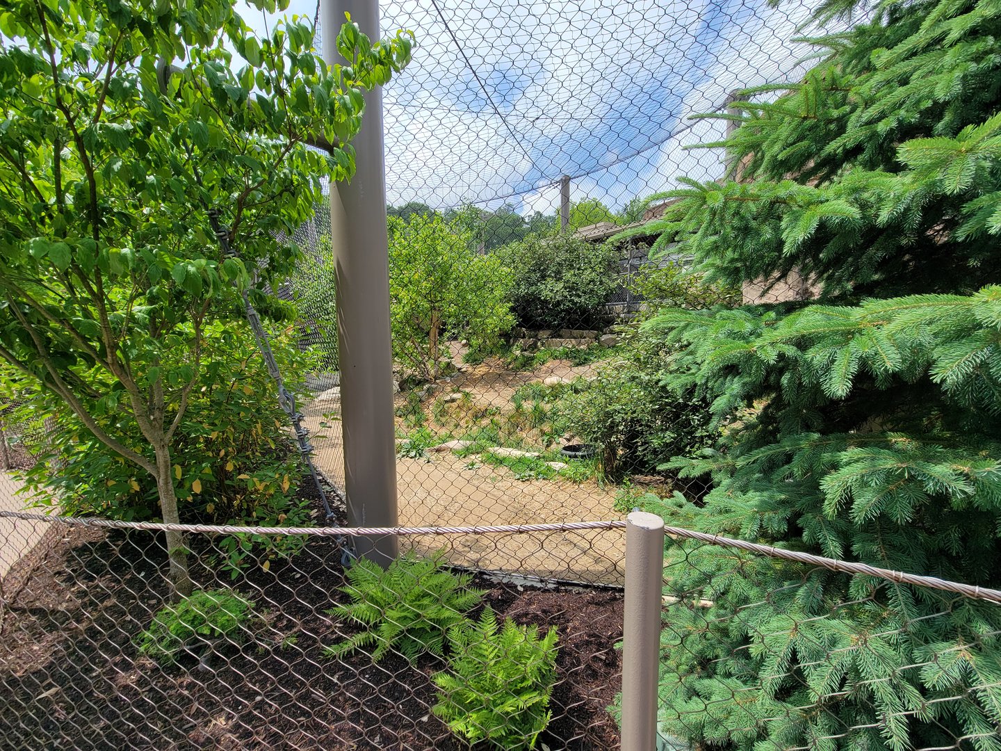 Cleveland Zoo - Tiger Passage