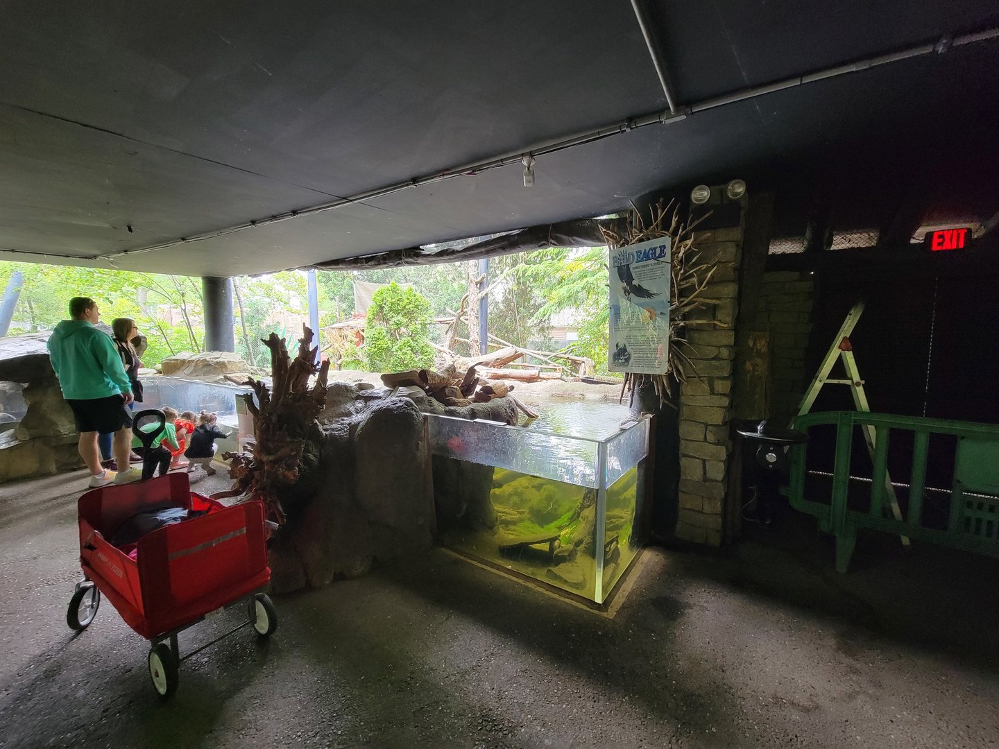 Cleveland Zoo - Wolf Lodge, Bald eagle exhibit