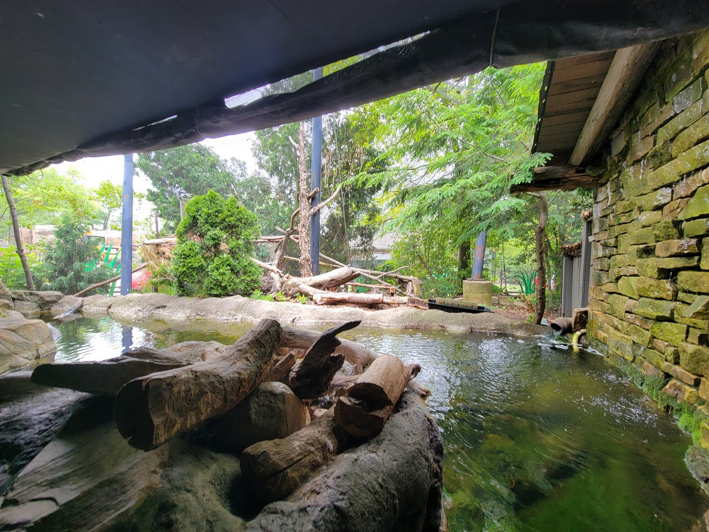 Cleveland Zoo - Wolf Lodge, Bald eagle exhibit