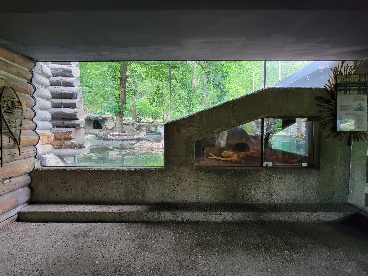 Cleveland Zoo - Wolf Lodge, Beaver