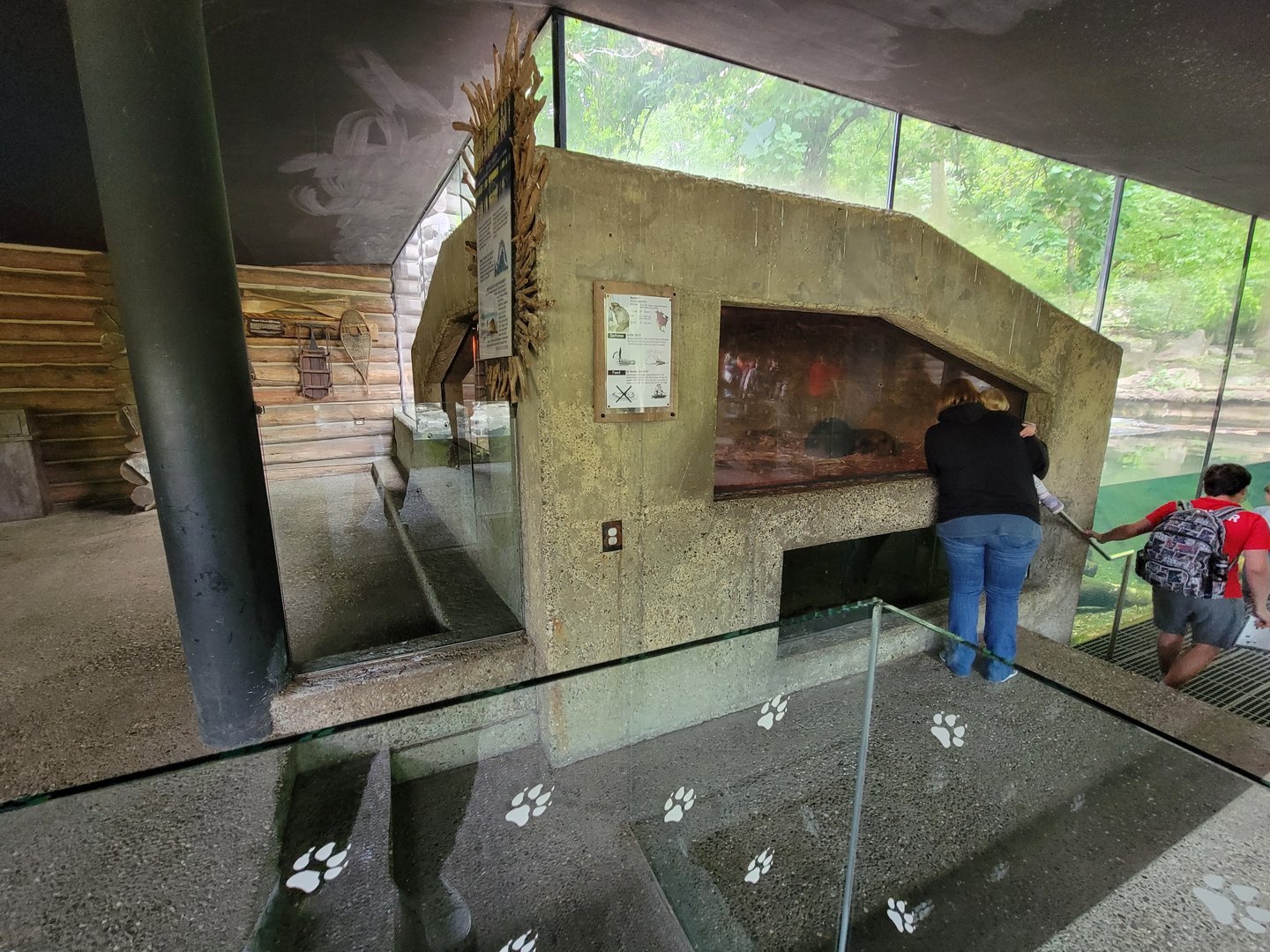 Cleveland Zoo - Wolf Lodge, Beaver