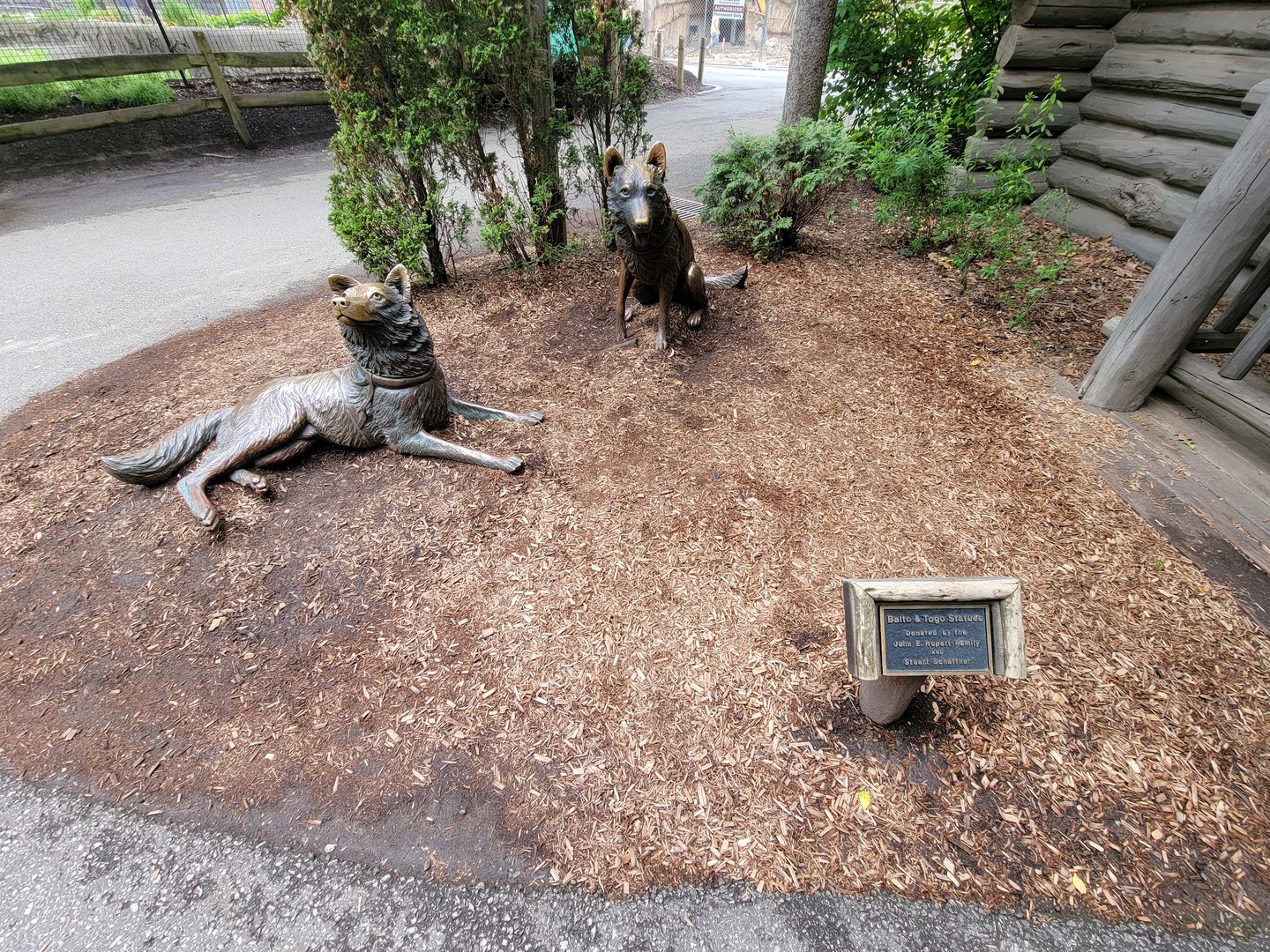 Cleveland Zoo - Wolf Lodge, exhit statue of Balto and Togo
