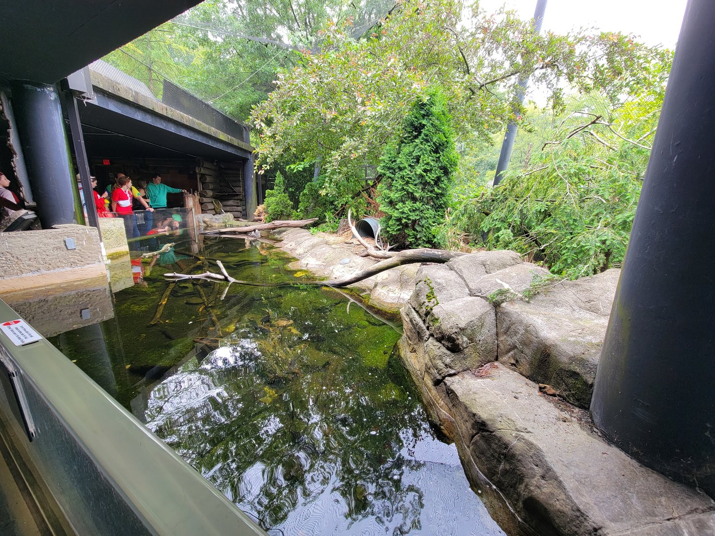 Cleveland Zoo - Wolf Lodge, Pond
