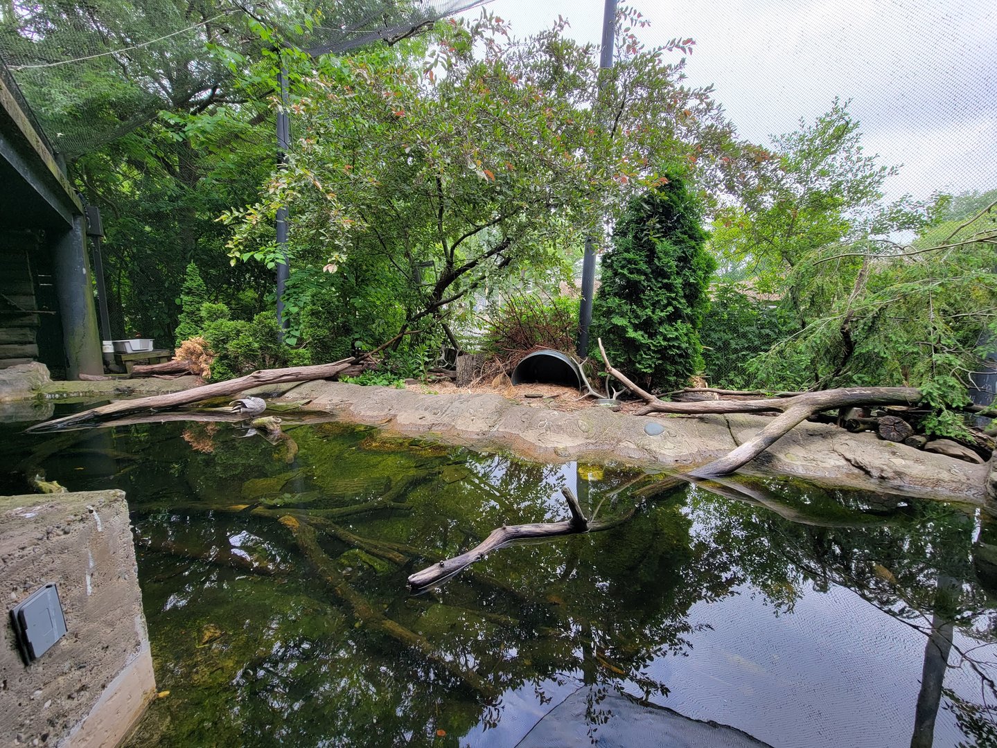 Cleveland Zoo - Wolf Lodge, Pond