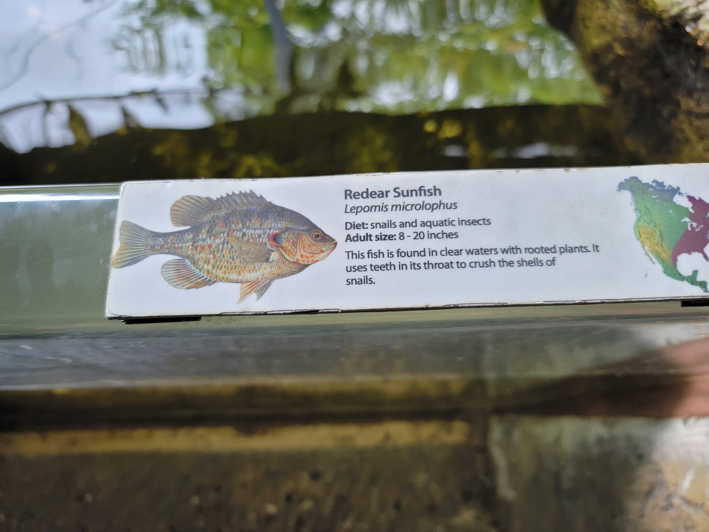 Cleveland Zoo - Wolf Lodge, signage example