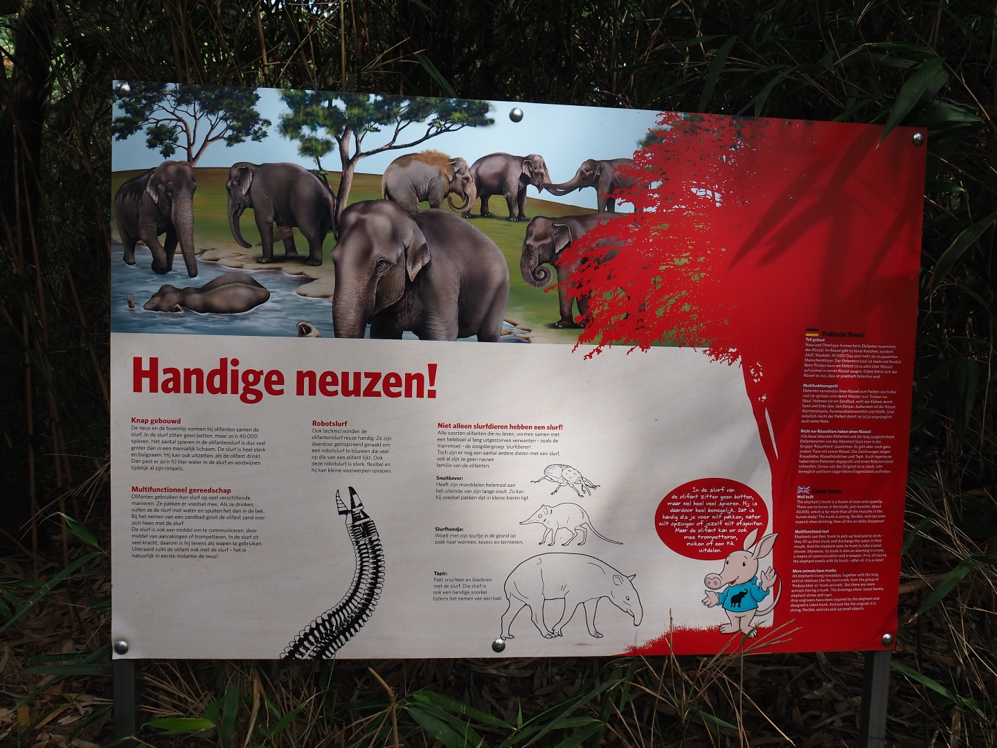 Clever noses sign - Education about the elephant trunk (Sep 16th, 2018)