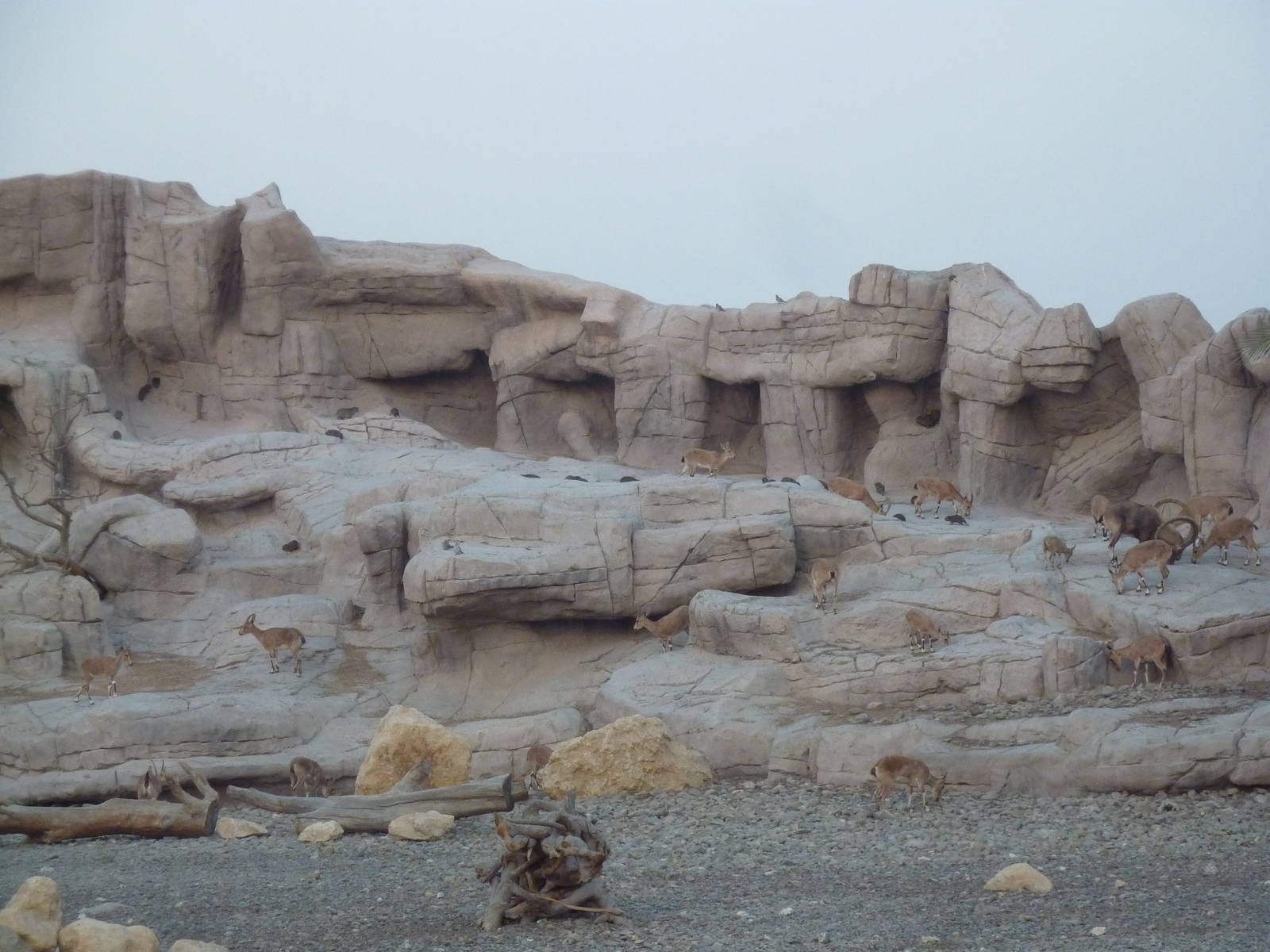 Cliffs as seen from restaurant, December 2011.