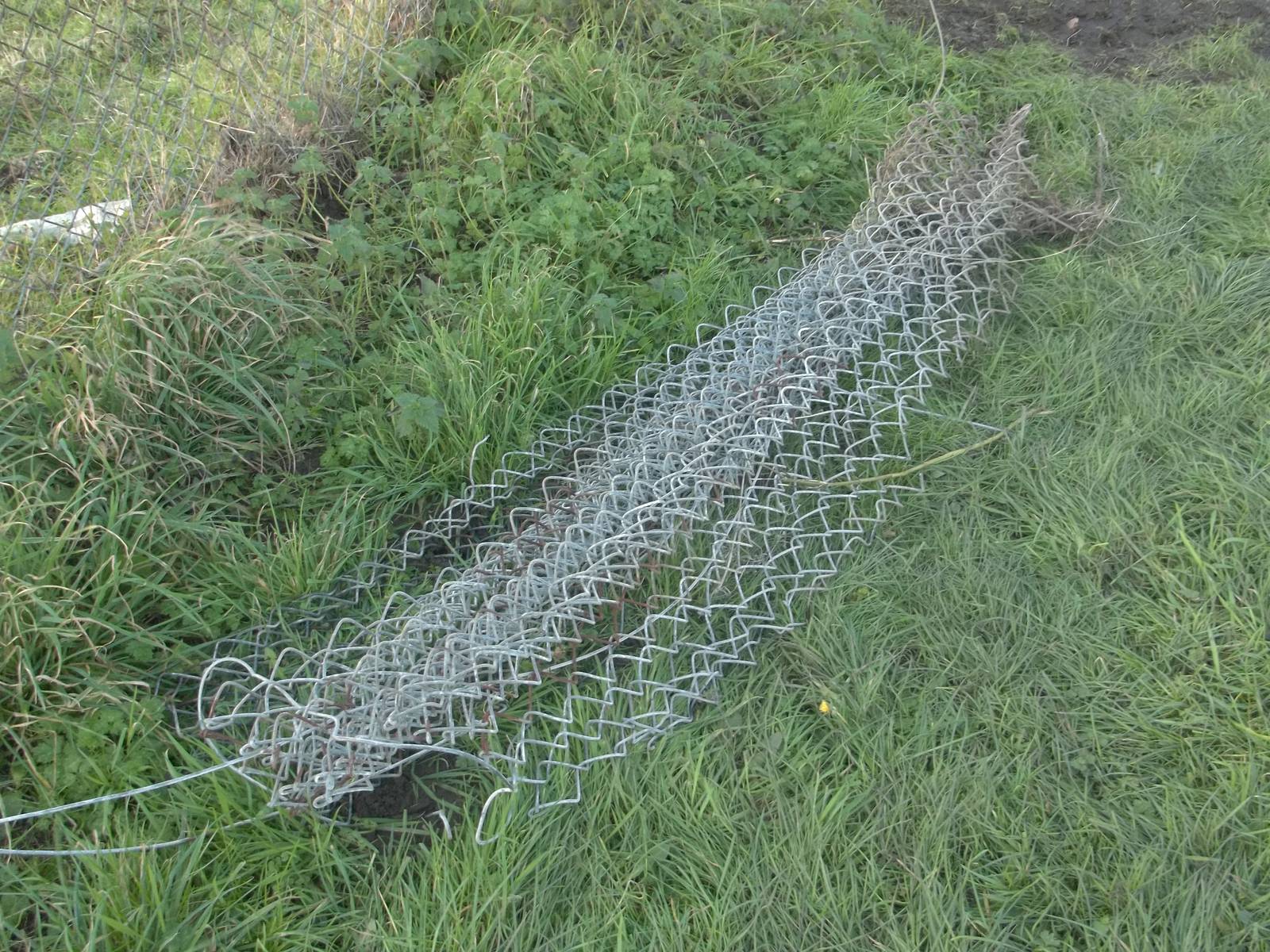 Clifftop paddocks fencing maintenance, 11th December 2014