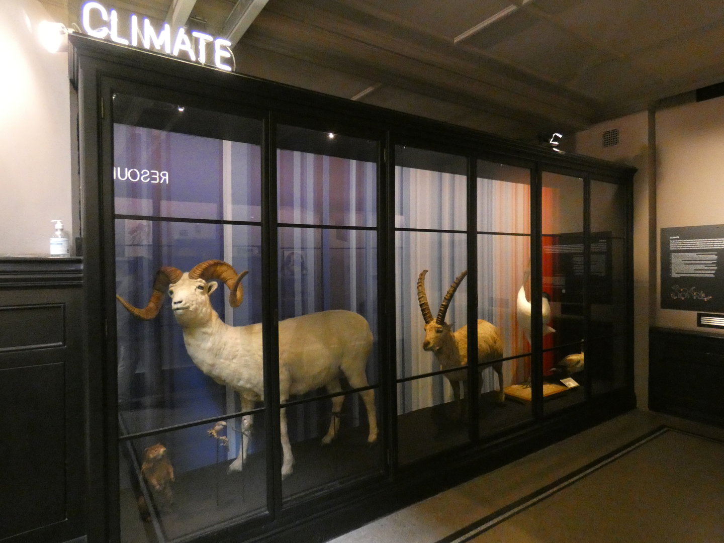 Climate change display