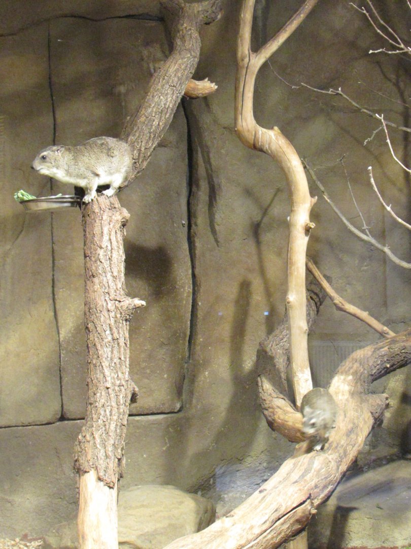 Climbers - July/2017