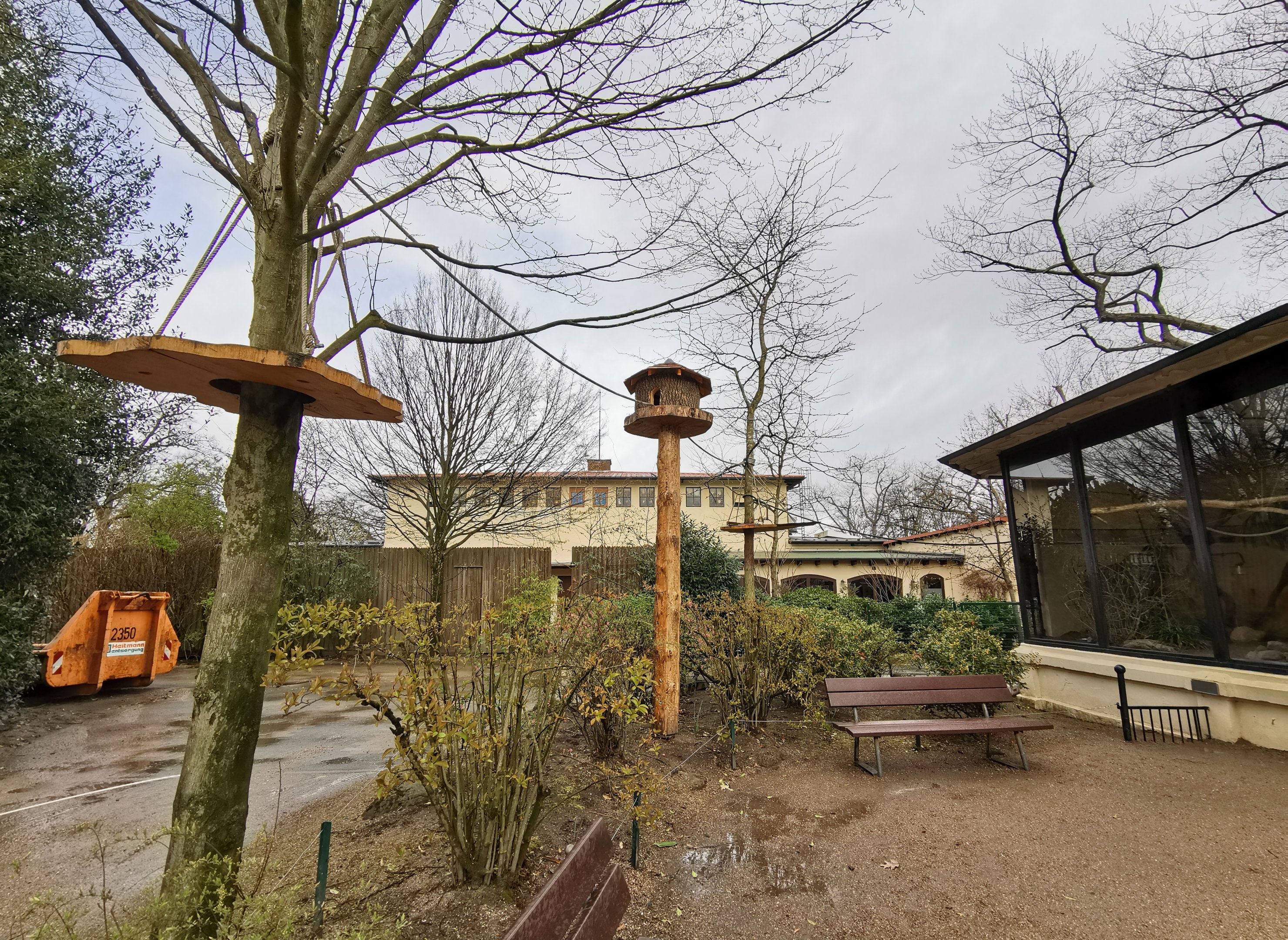 Climbing area for bearded emperor tamarins