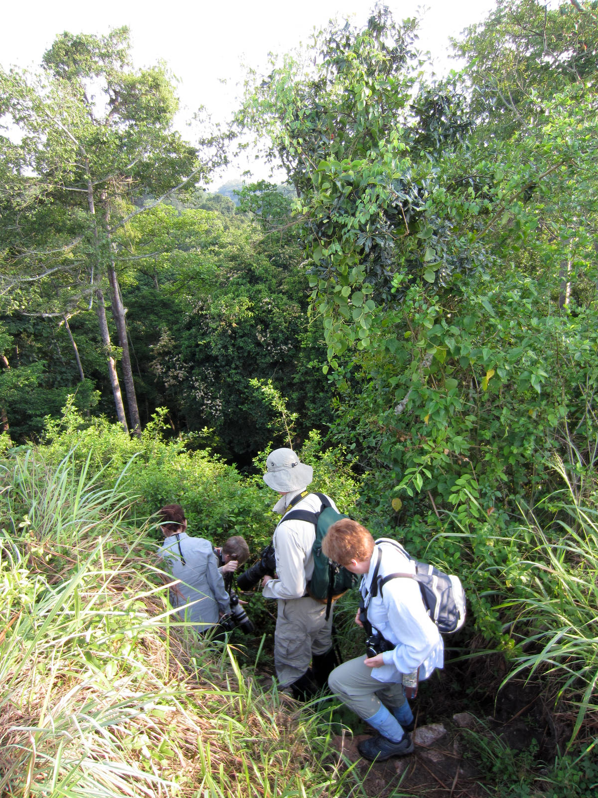 Climbing down into the gorge