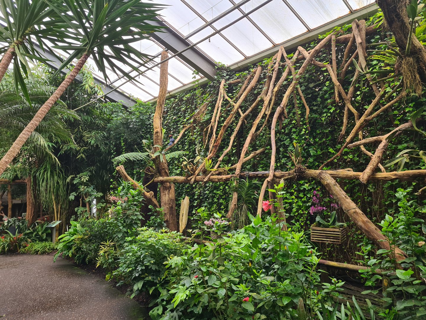 Climbing frame in "Amazon" hall