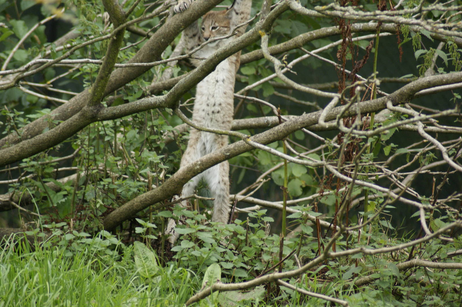 climbing not going so well!!