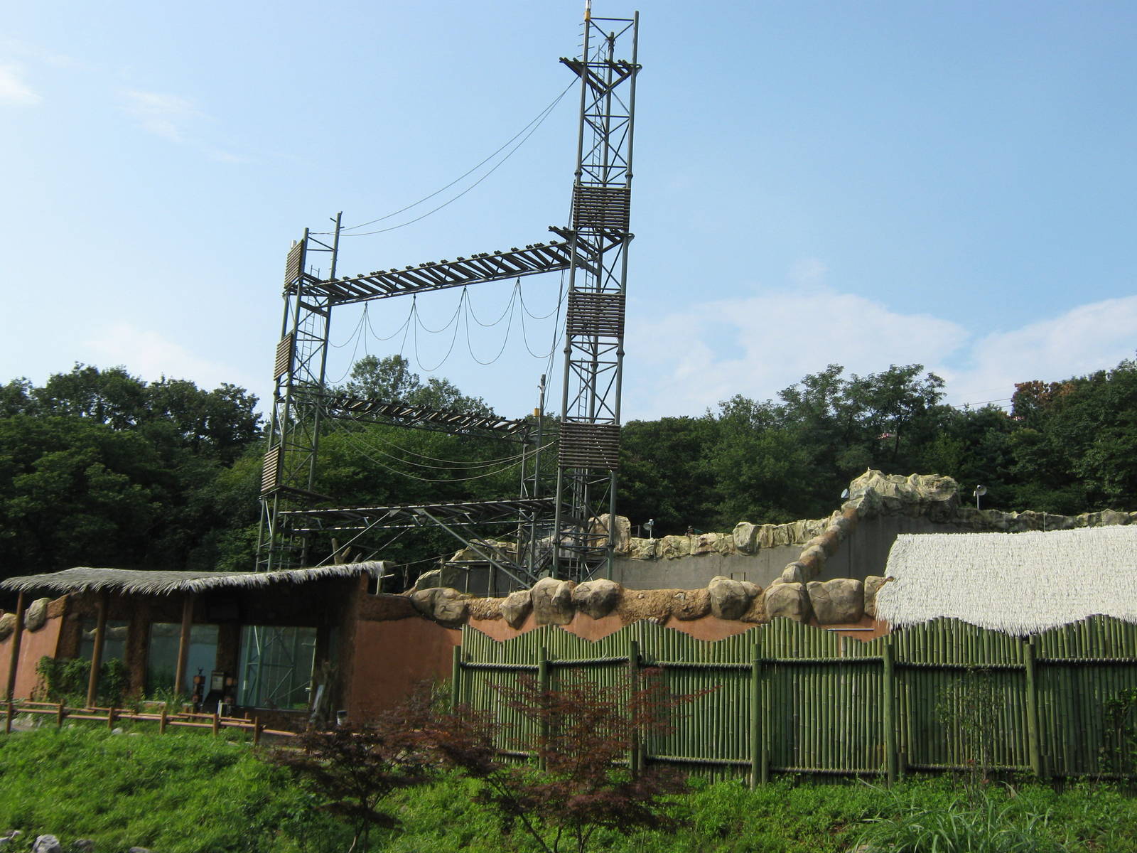 climbing tower in Ape Jungle