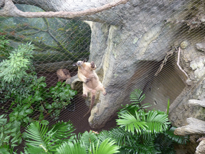 Climbing up to say hello!