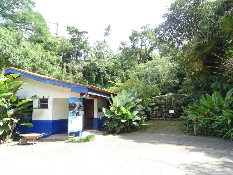 Clinic and bird-of-prey aviary