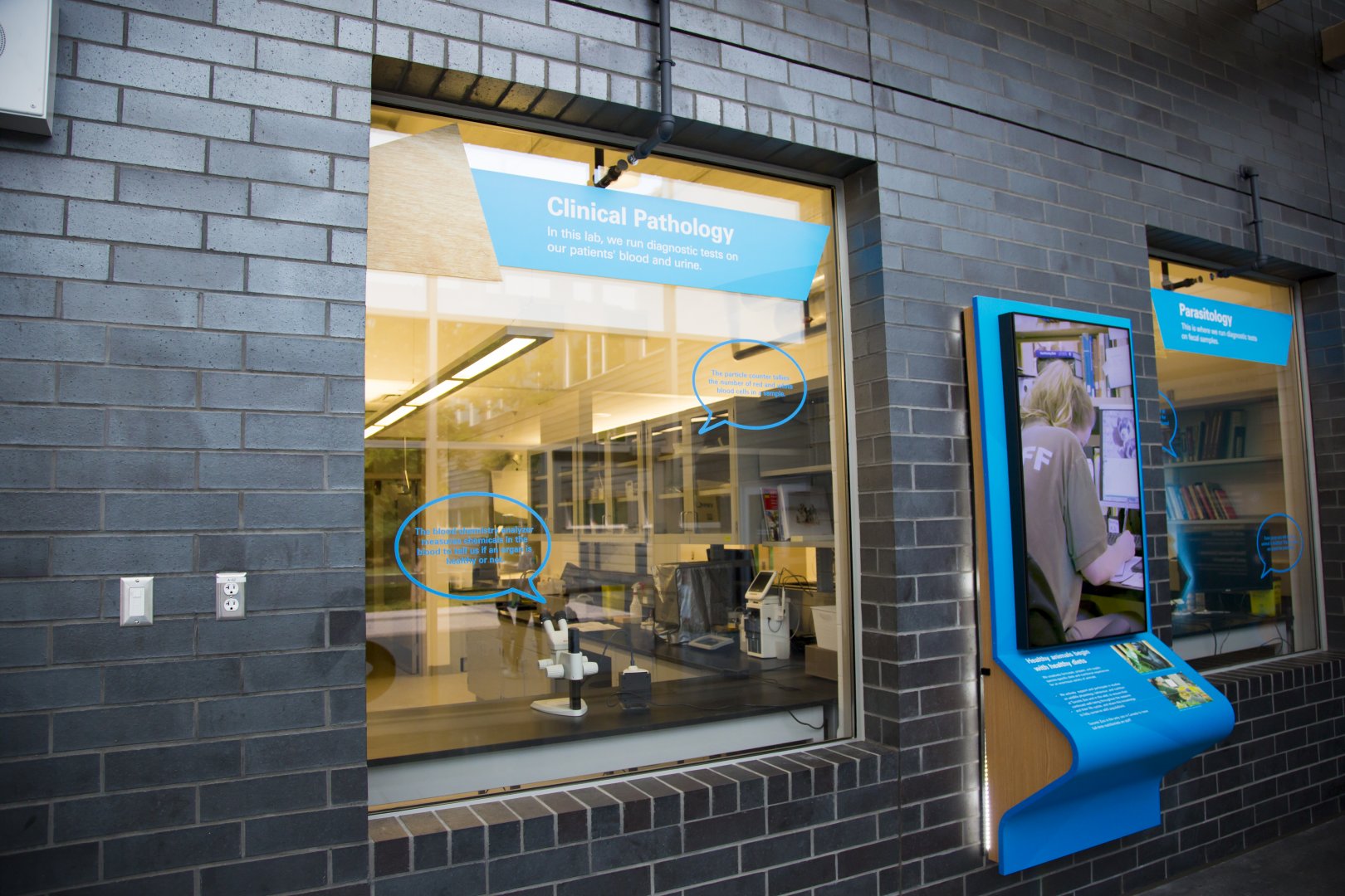 Clinical Pathology and Parasitology