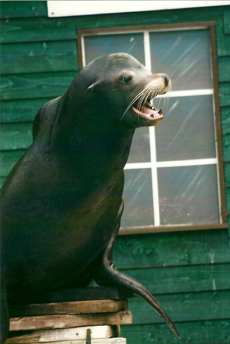 Clive 27th December 2012