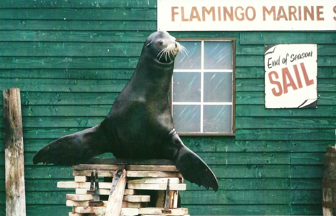 Clive 27th December 2012