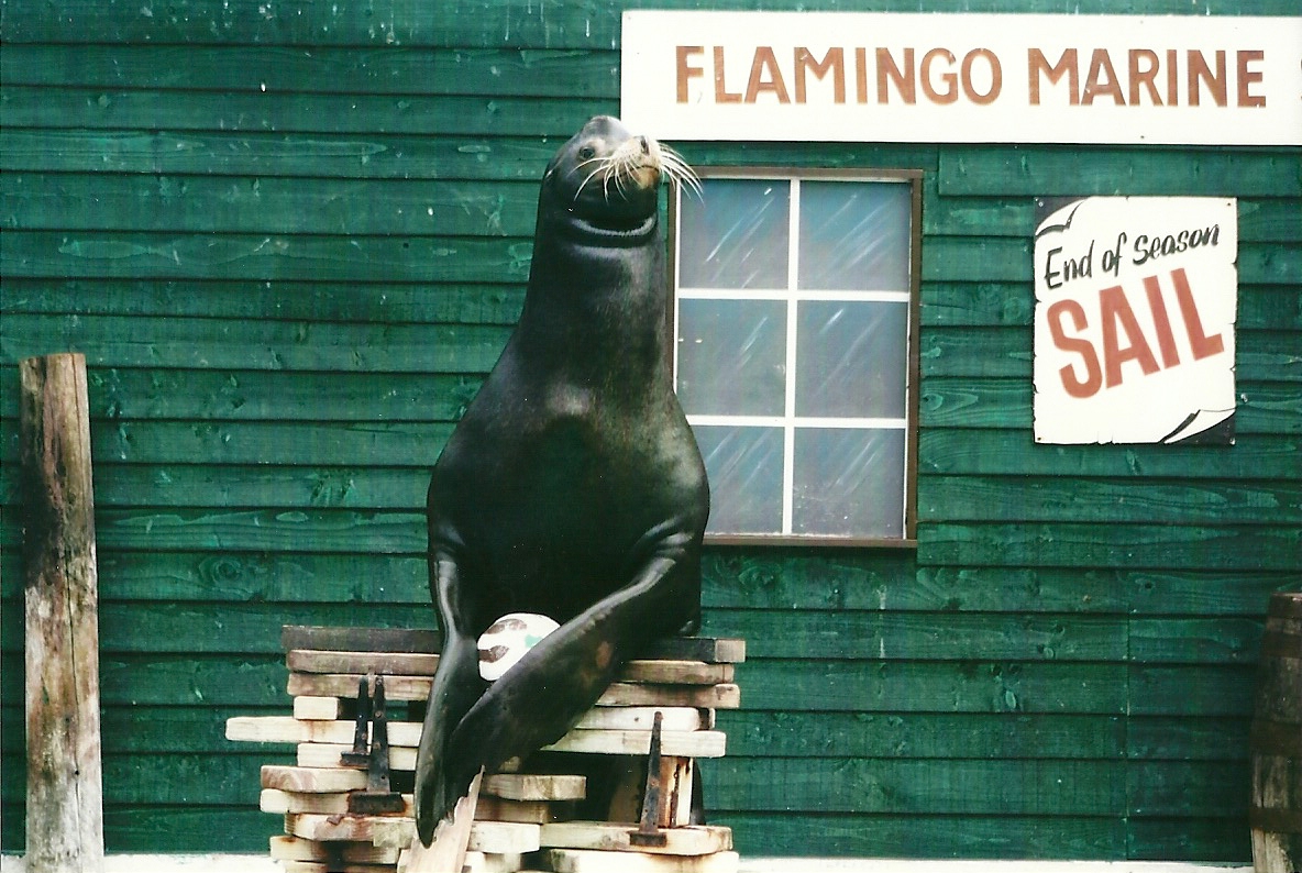 Clive 27th December 2012