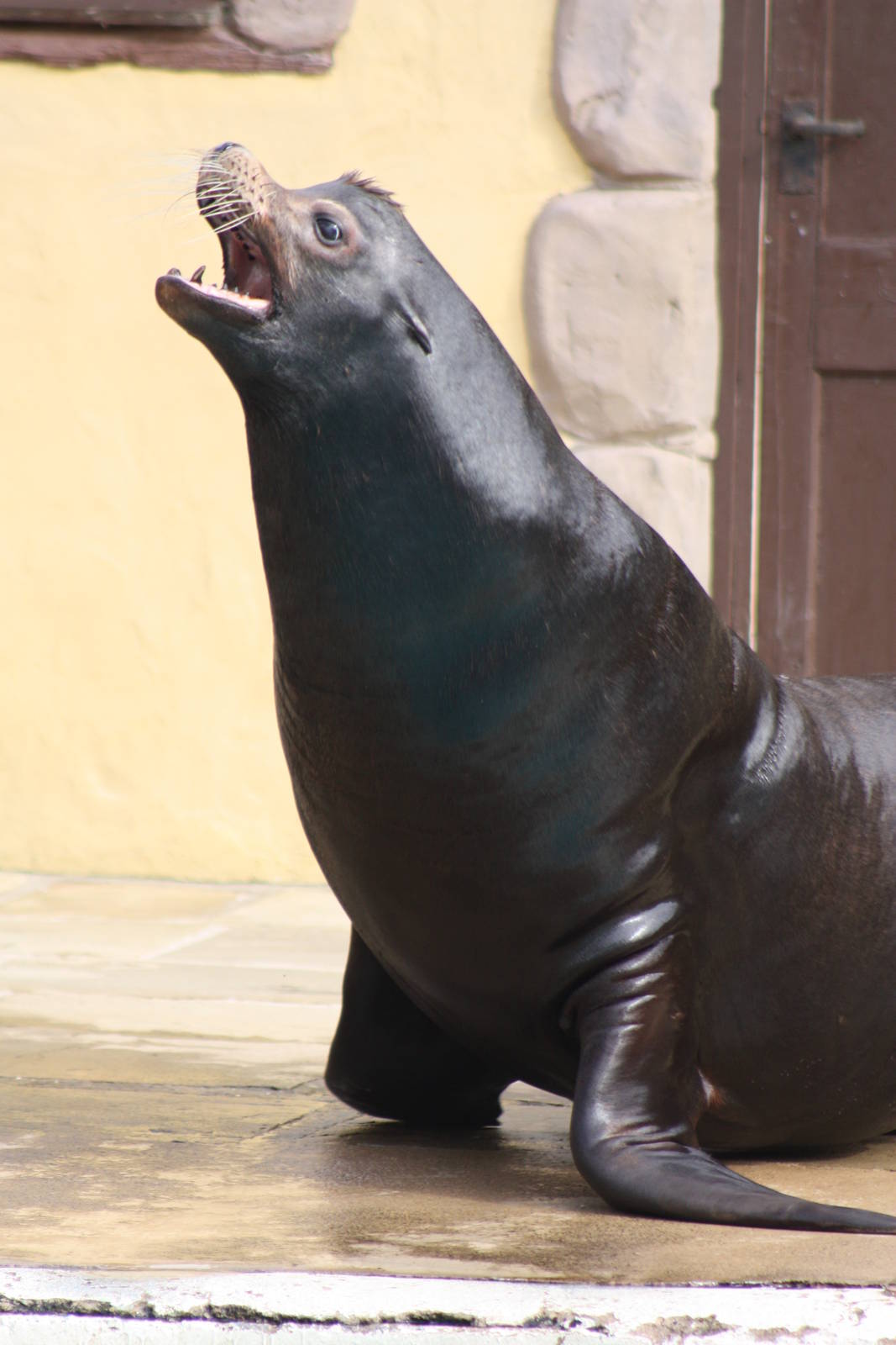 Clive, 30th September 2014