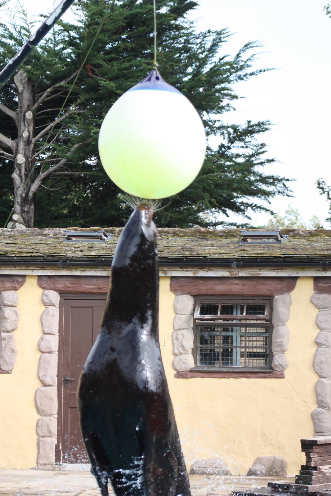 Clive, 30th September 2014