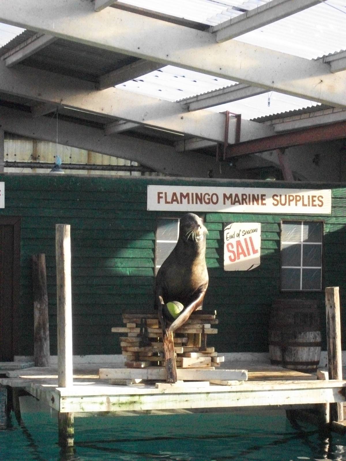 Clive 4th January 2013