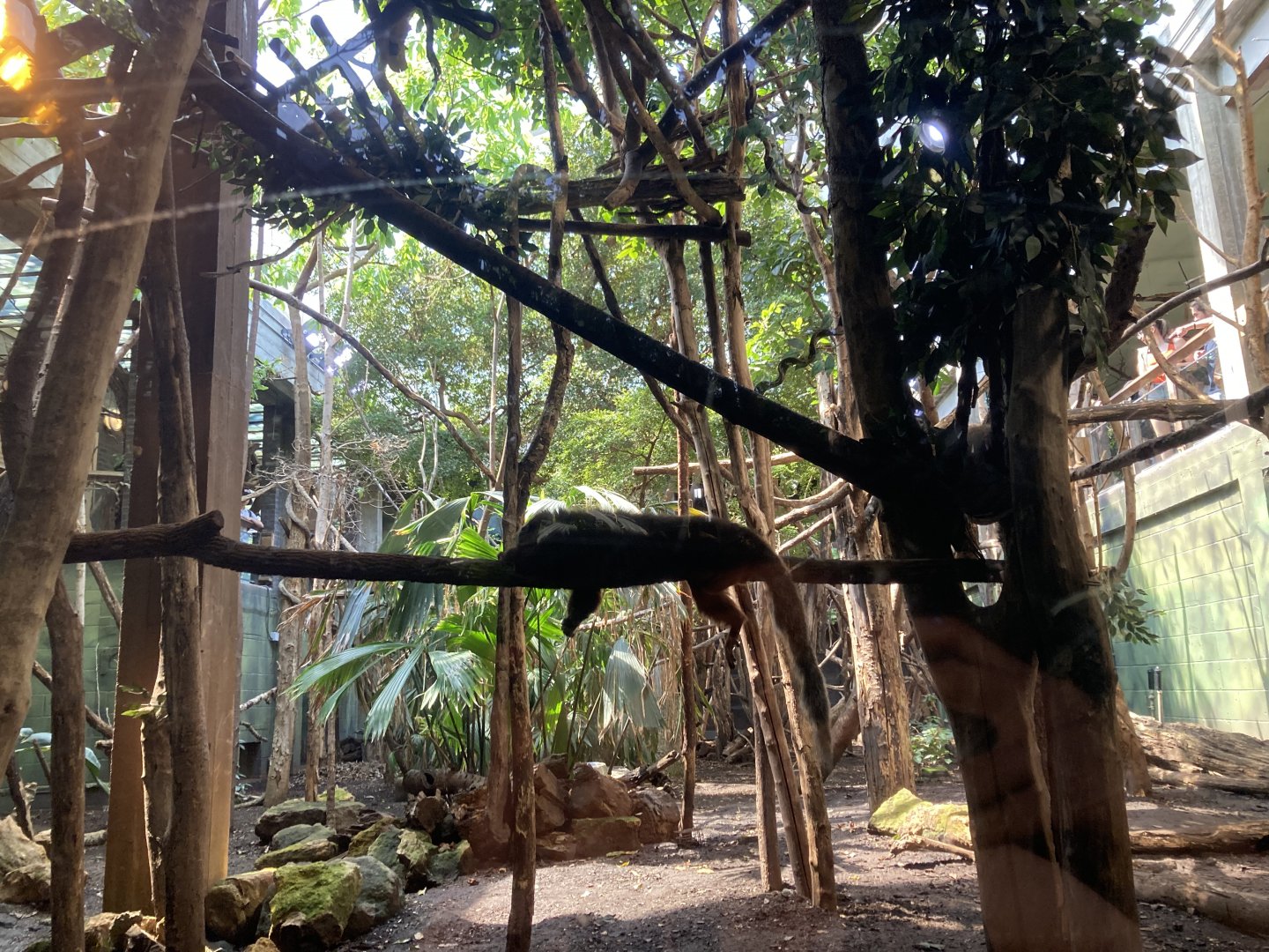 Clore from the ground