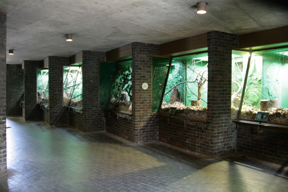 Clore Rainforest exhibit, London Zoo