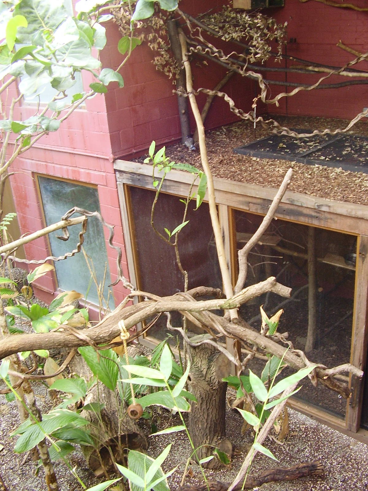 Clore Rainforest Lookout - holding cage
