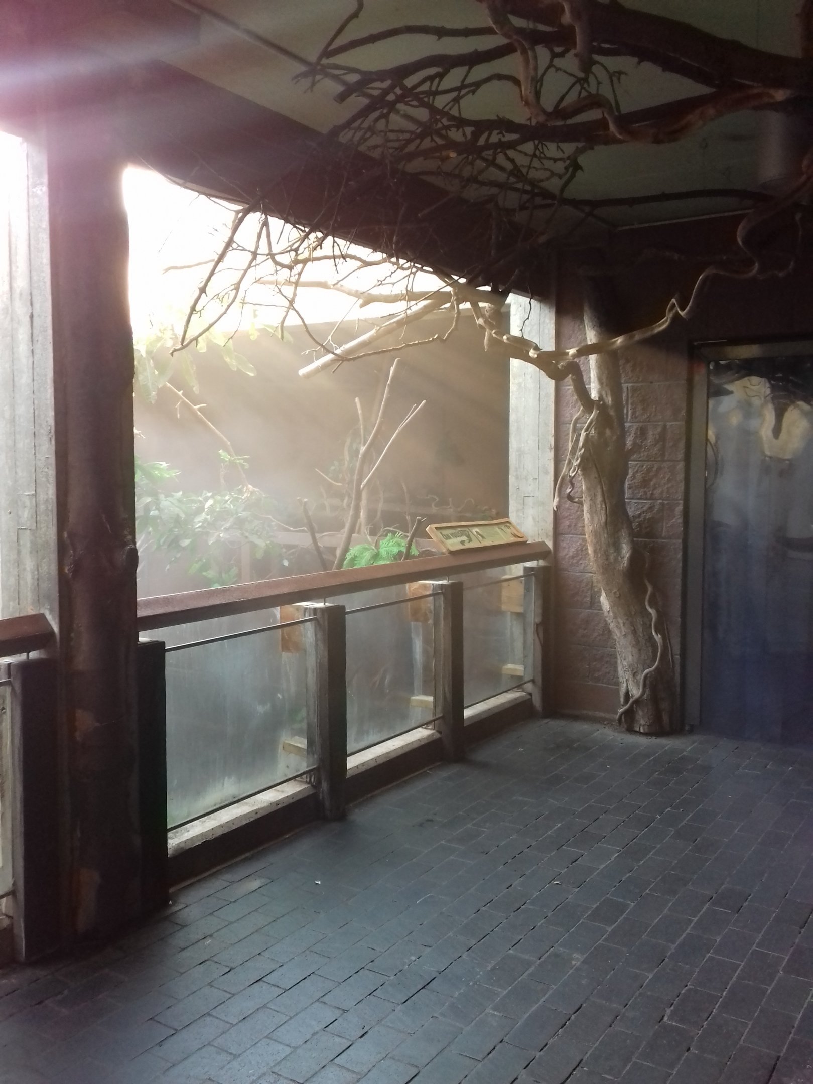 Clore Rainforest Lookout