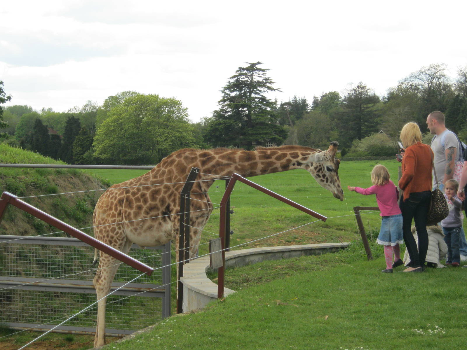 Close encounter 2012.