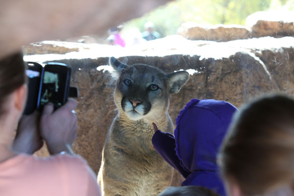 close enough to touch