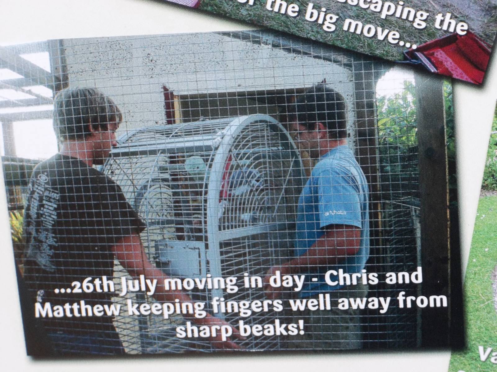 Close-up of development board, 16th October 2014