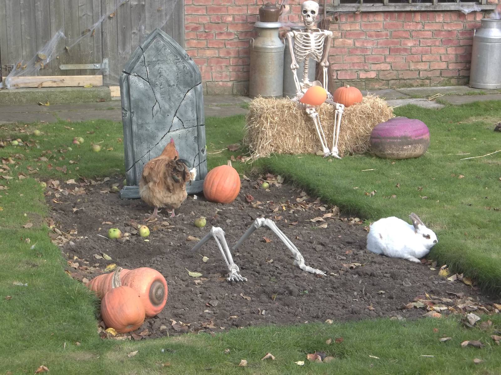 Close-up of Halloween decorations, 27th October 2014