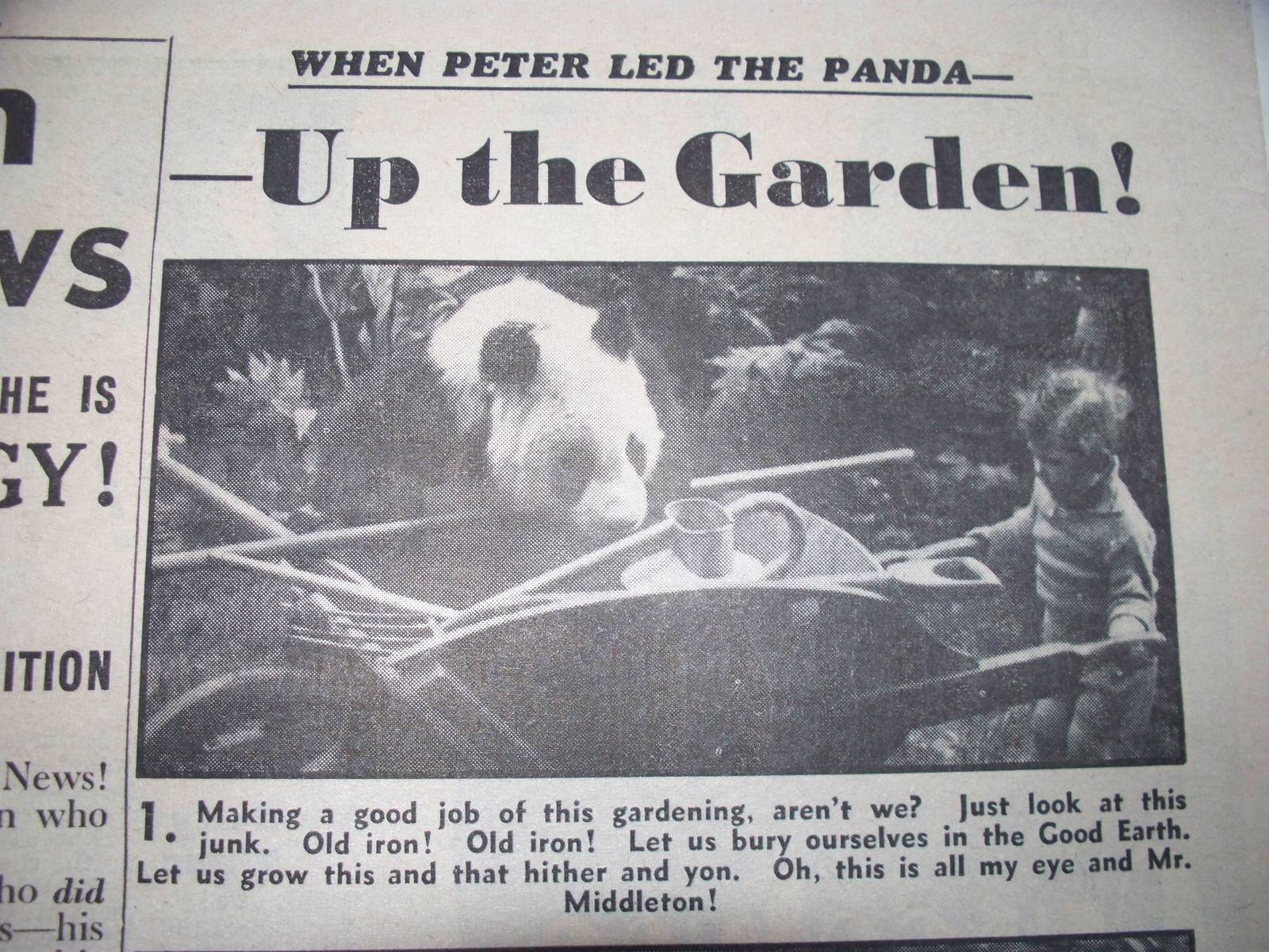 close up of panda story