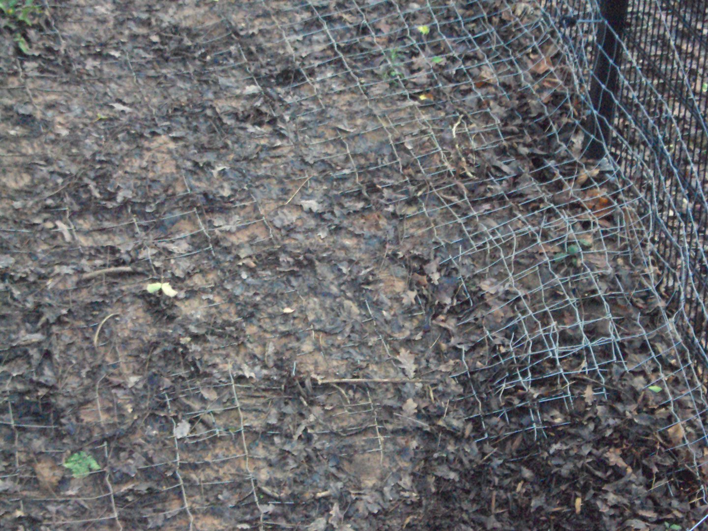 Close up of the anti dig barrier 03/01/2020