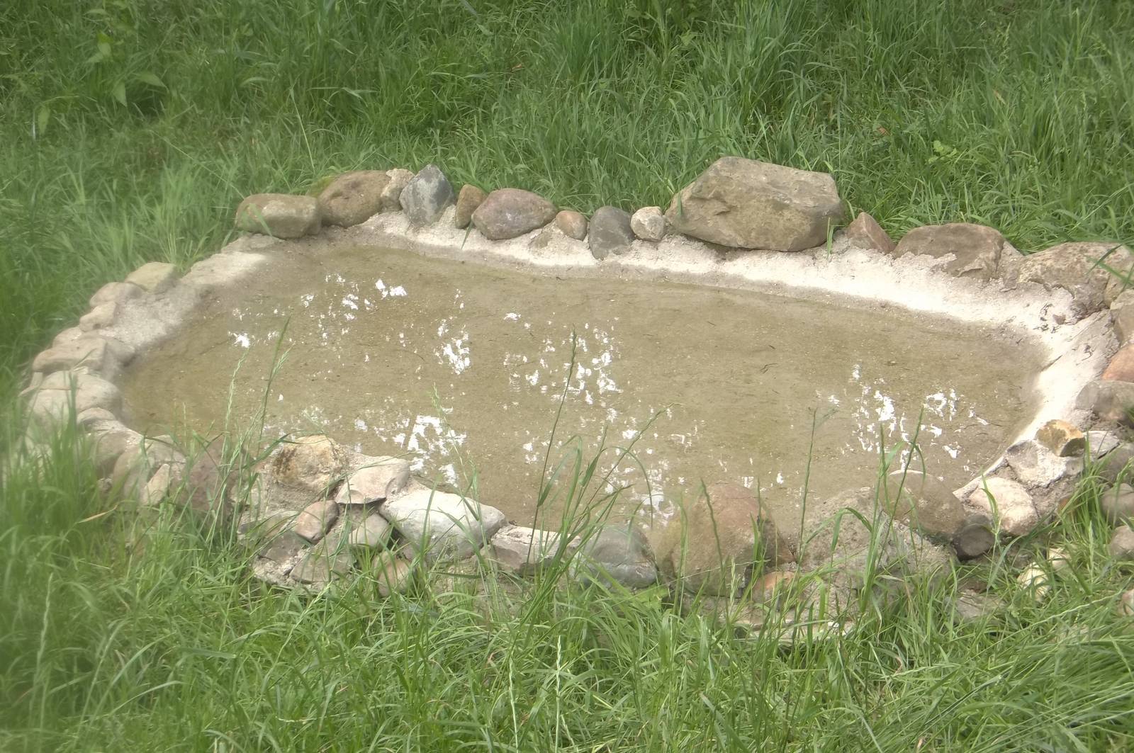 Close-up view of enlarged pool in exhibit for Raccoon Dogs, 17th June 2016