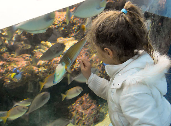 close-up with the fish July 2010