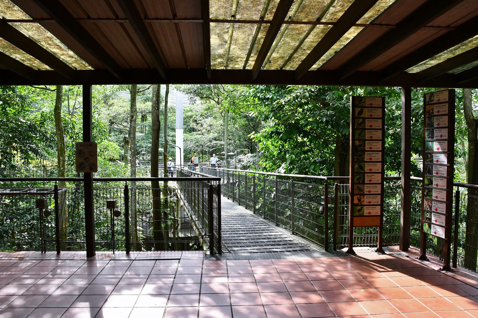 [CLOSED] African Treetops