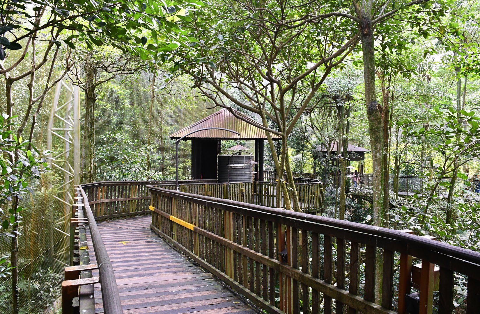 [CLOSED] African Treetops